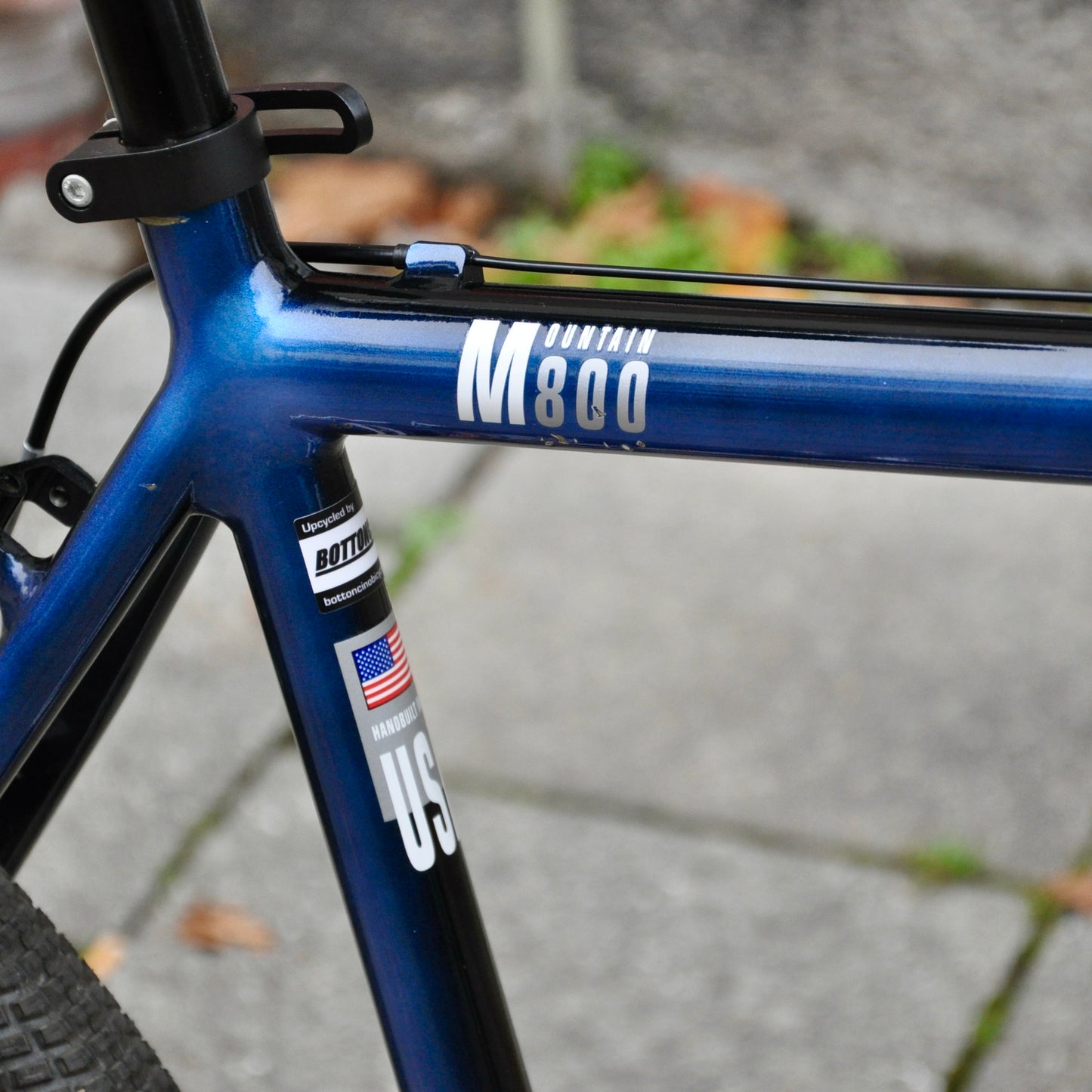 Beastie Cannondale