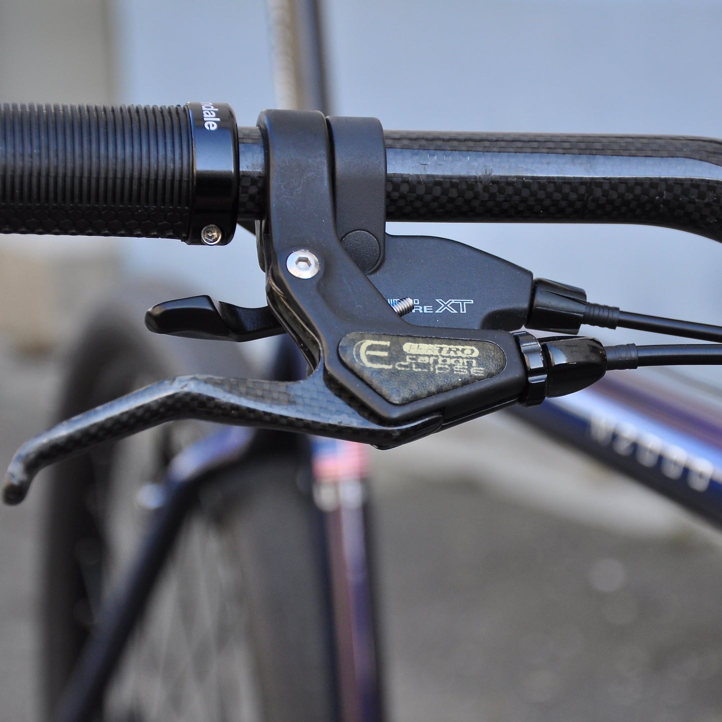 Coralie Cannondale