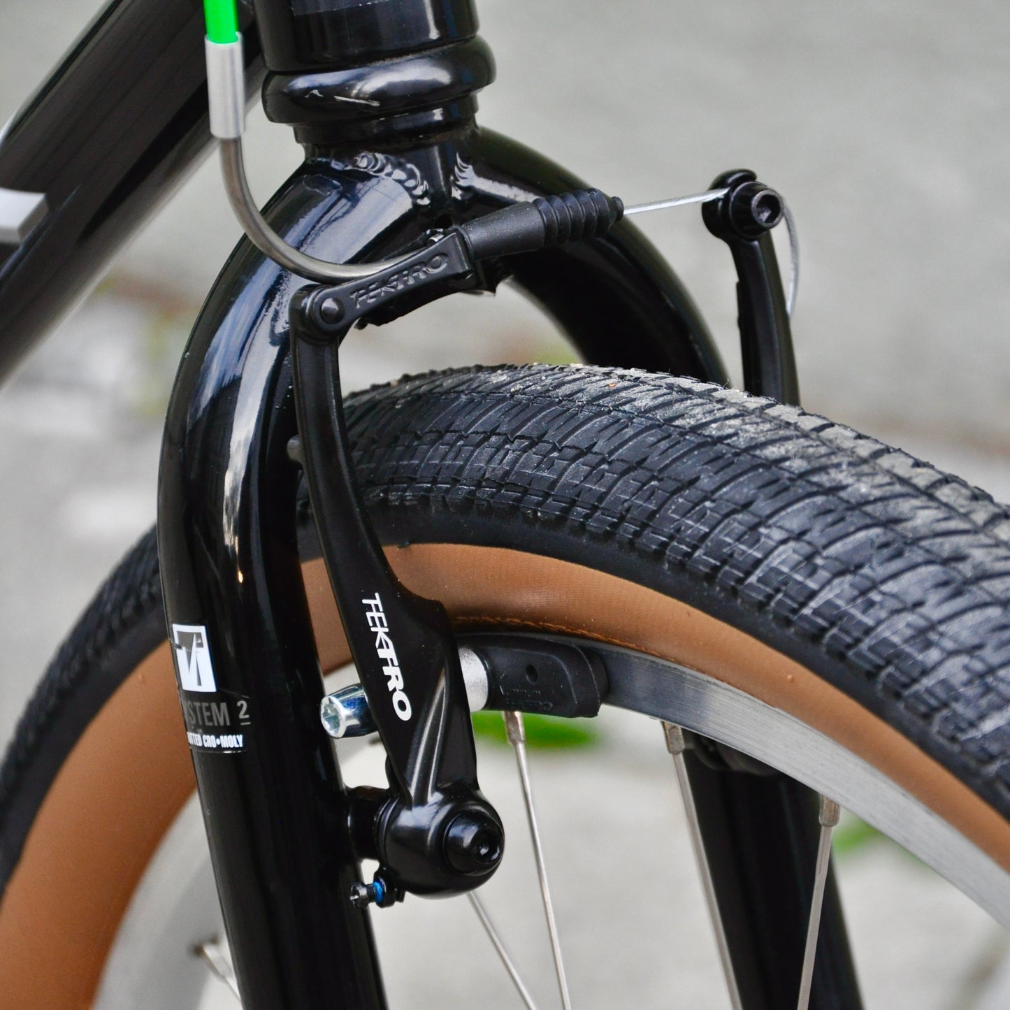 Trixy Trek