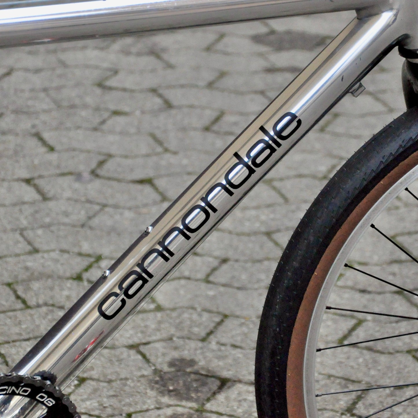 Sylvie Cannondale