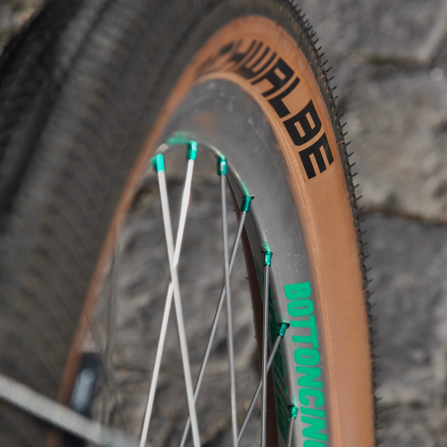 Cordula Cannondale