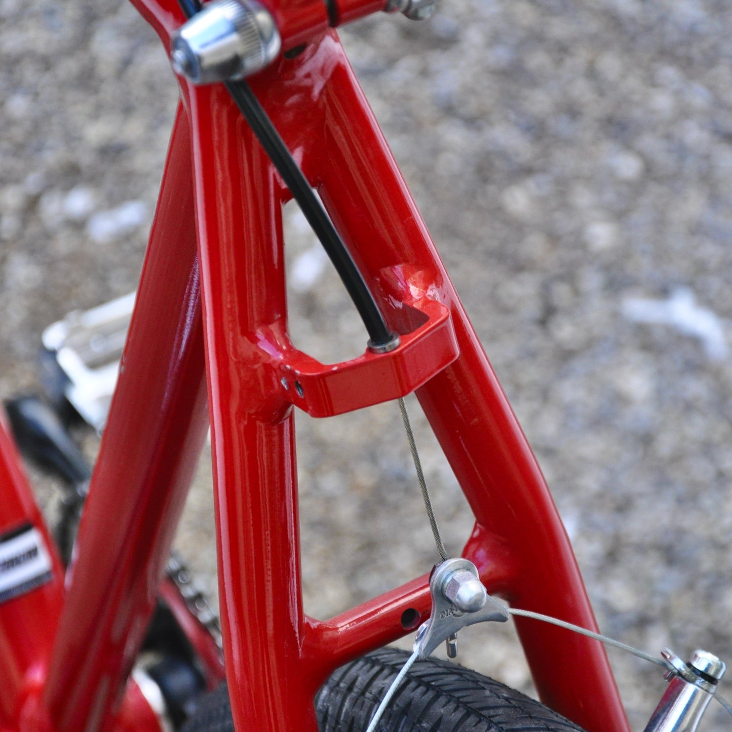 Pamela Cannondale