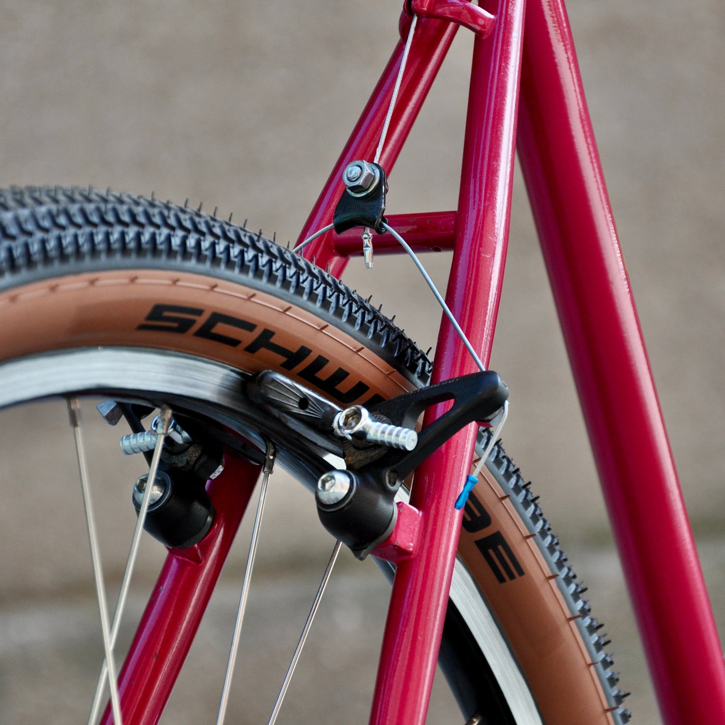 Stacy Stumpjumper