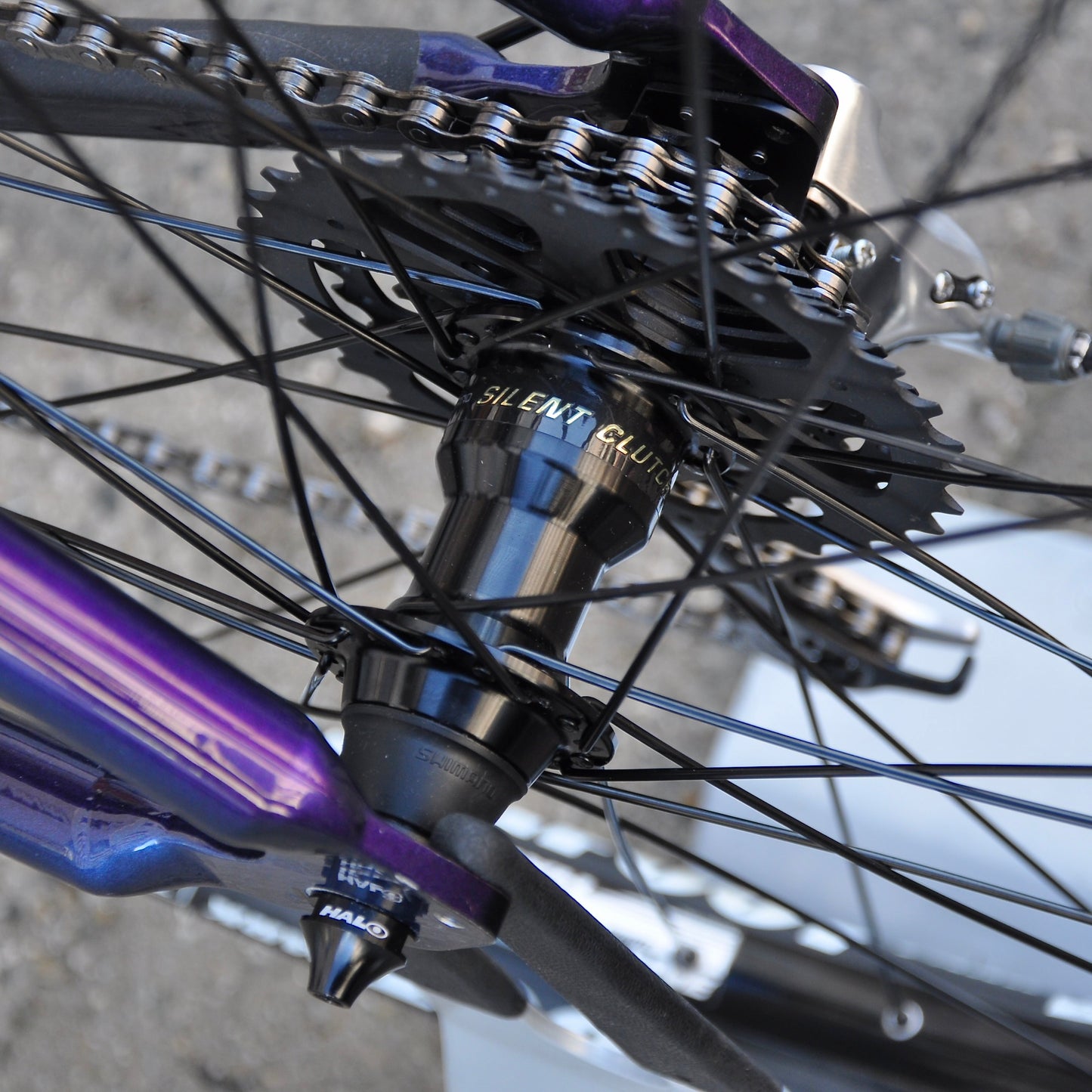 Coralie Cannondale