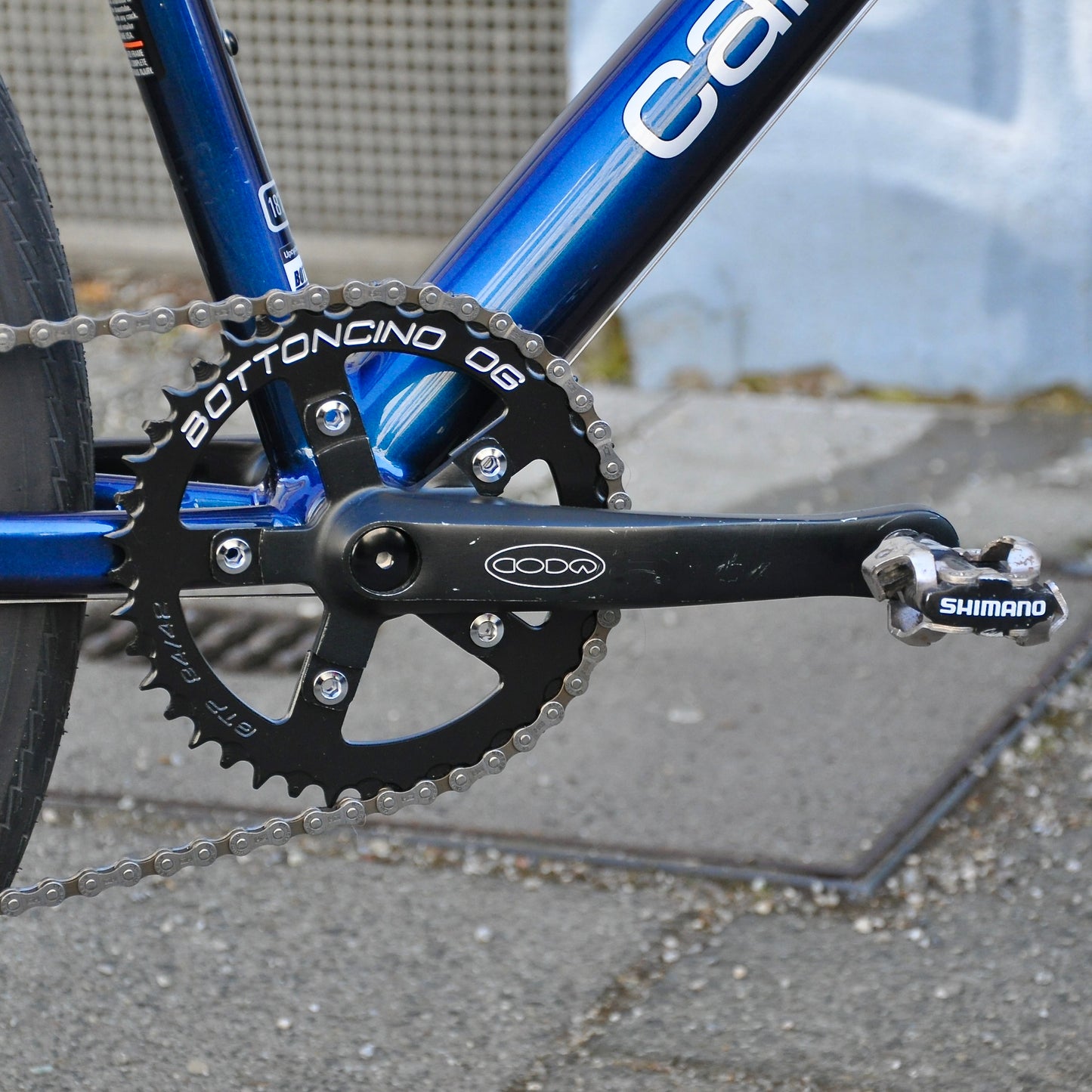 Coralie Cannondale