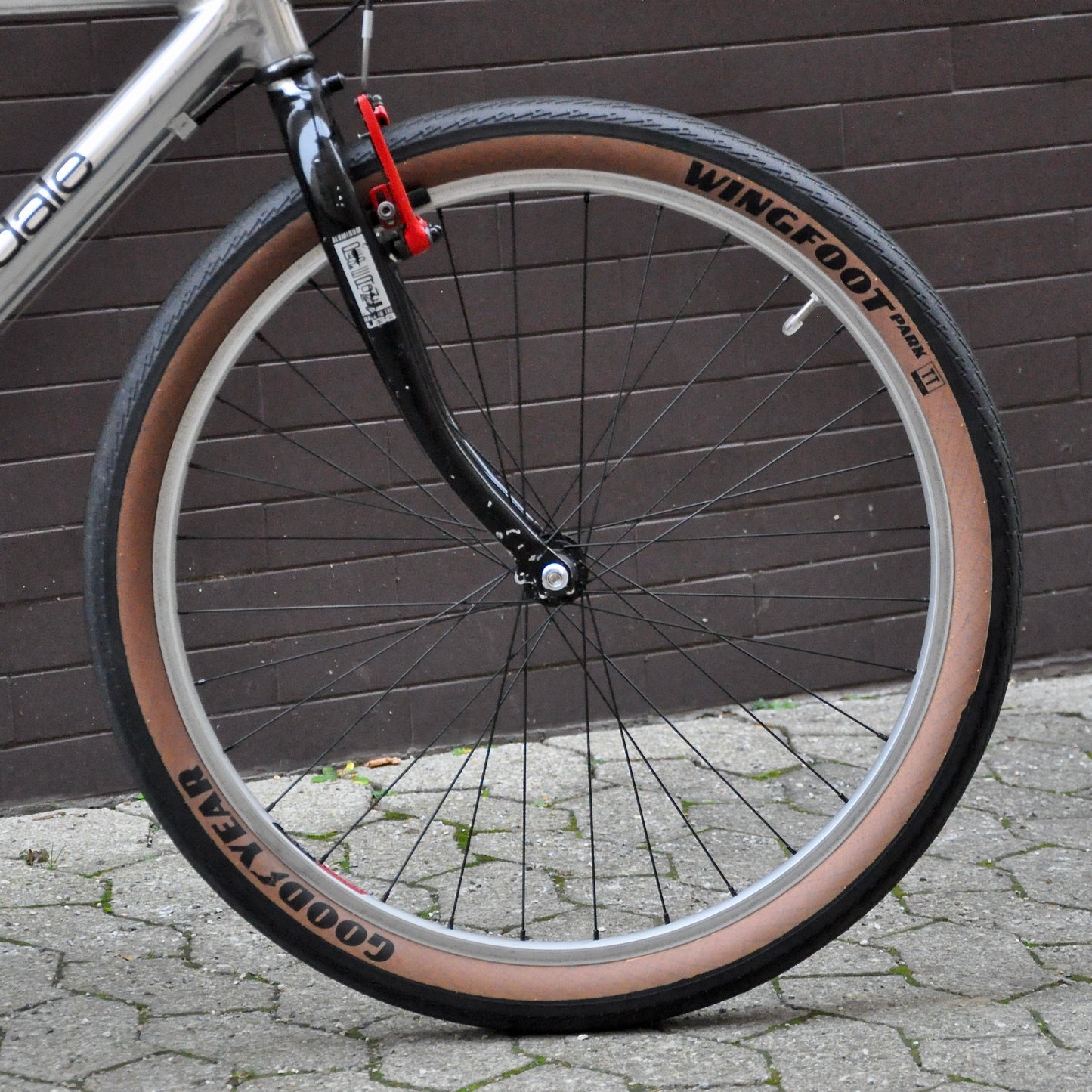 Sylvie Cannondale