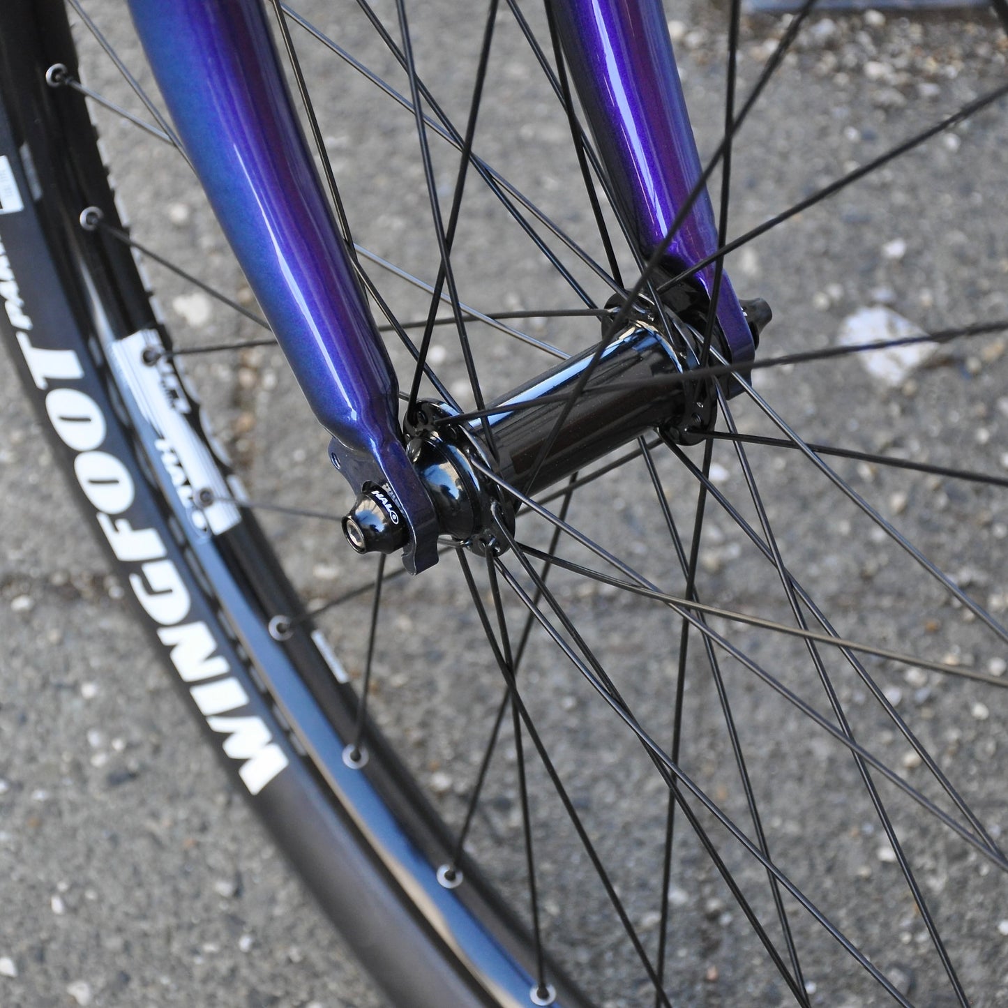 Coralie Cannondale