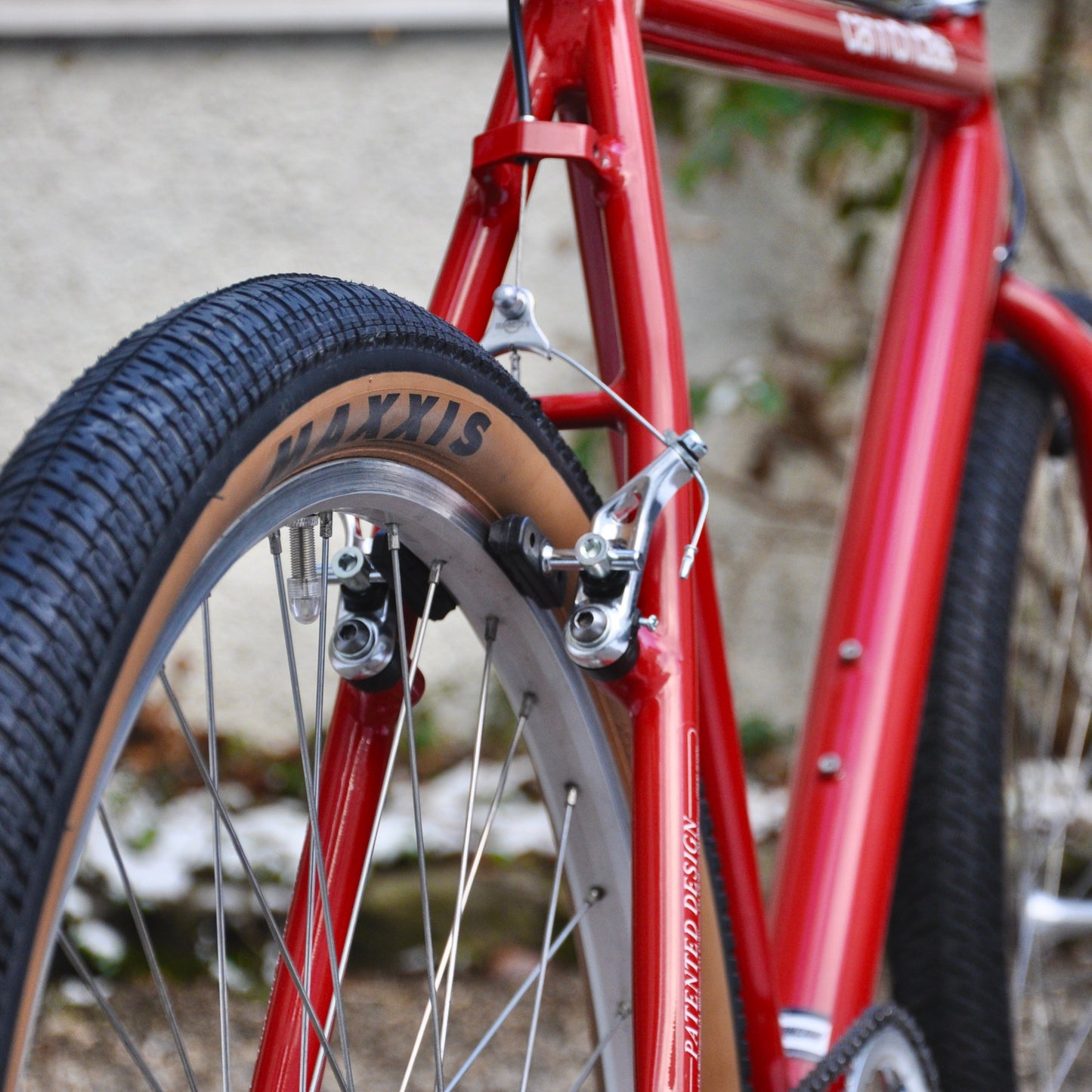 Pamela Cannondale