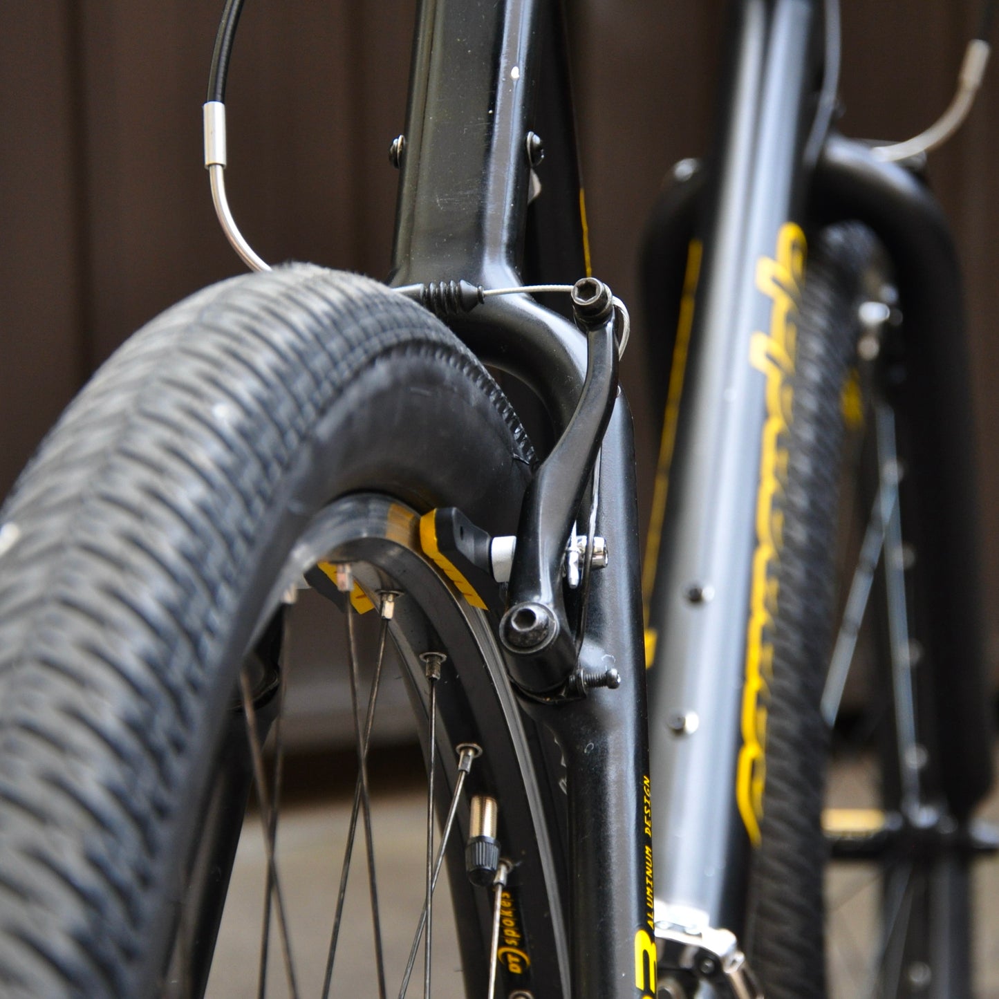Hornet Cannondale