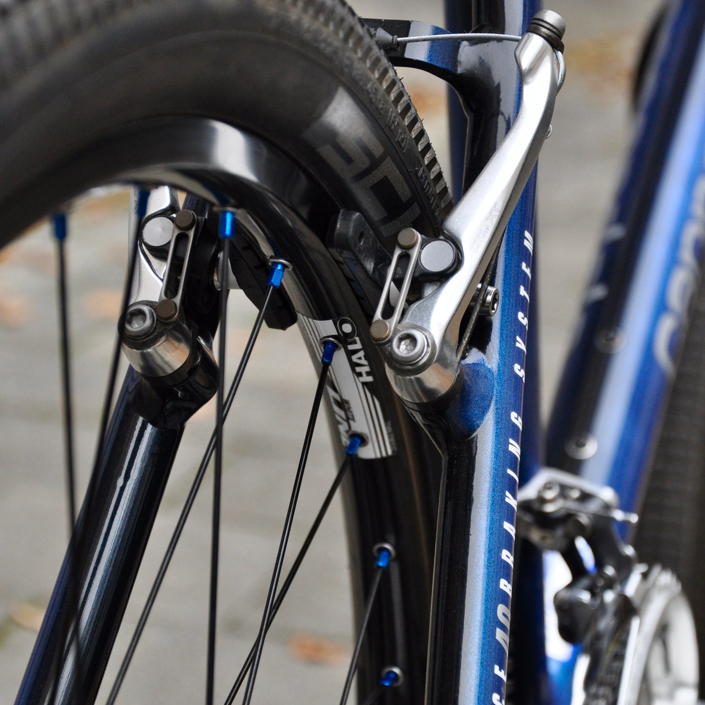Beastie Cannondale