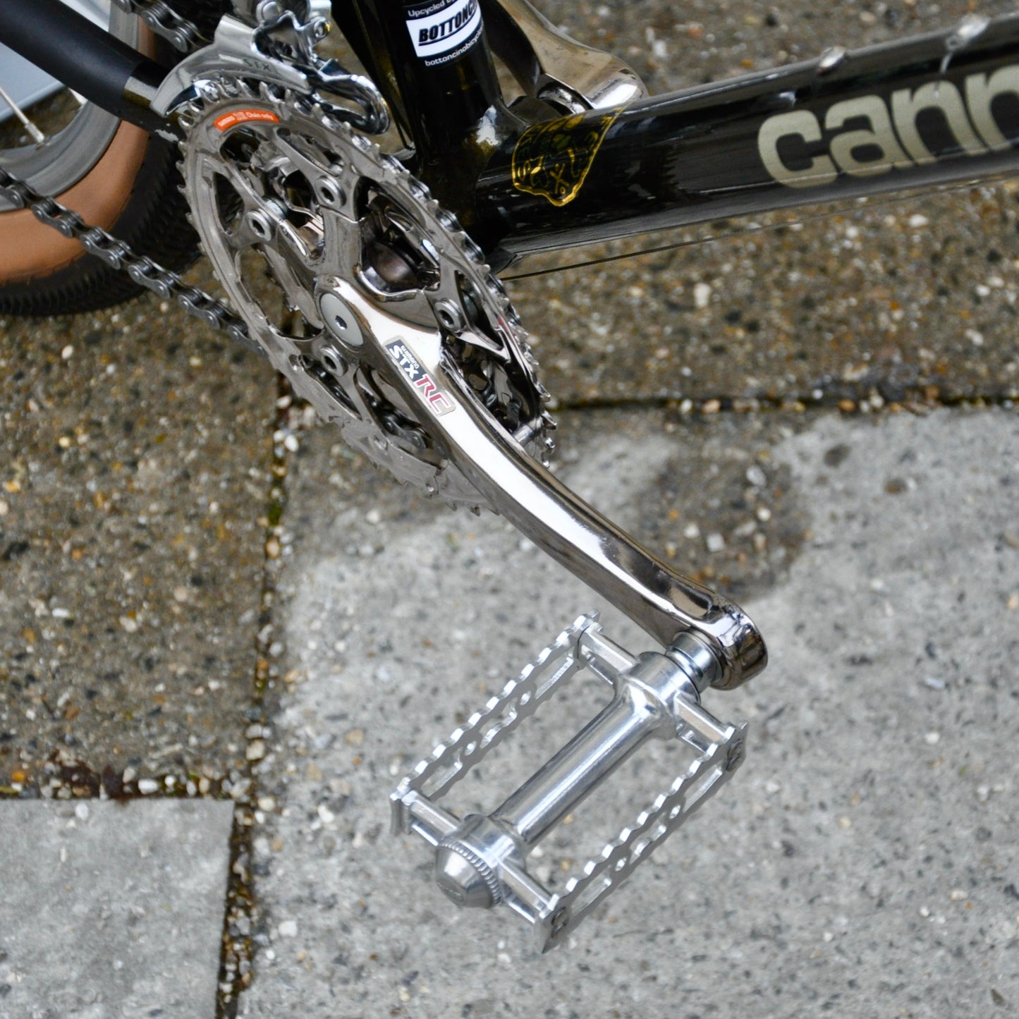 Goldie Cannondale