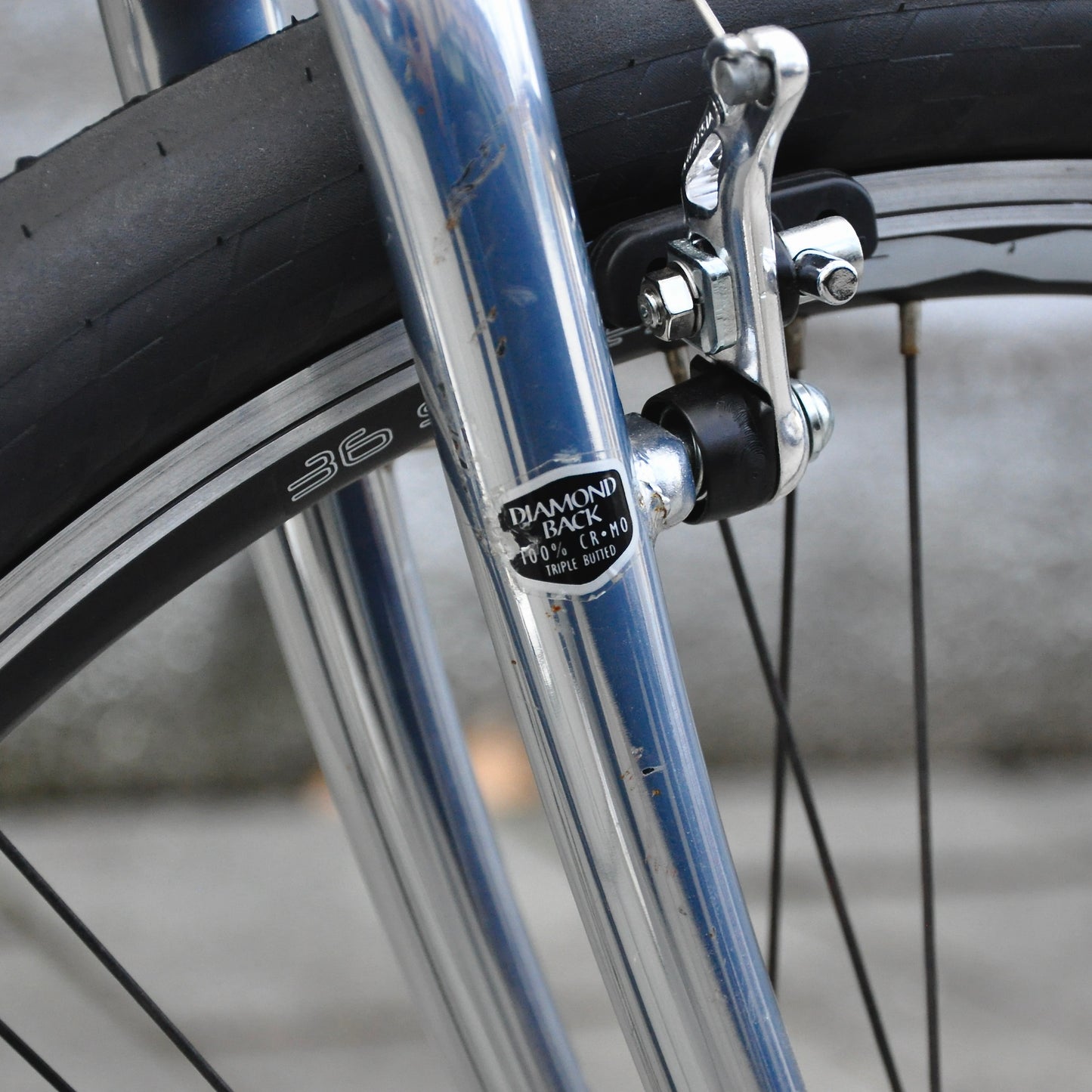 Silver Arrow Diamondback