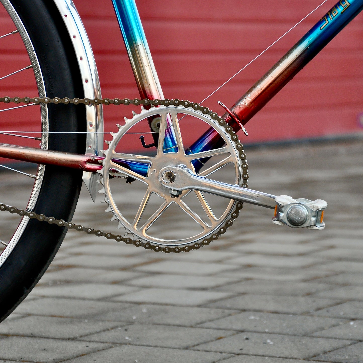 Skidster Staiger