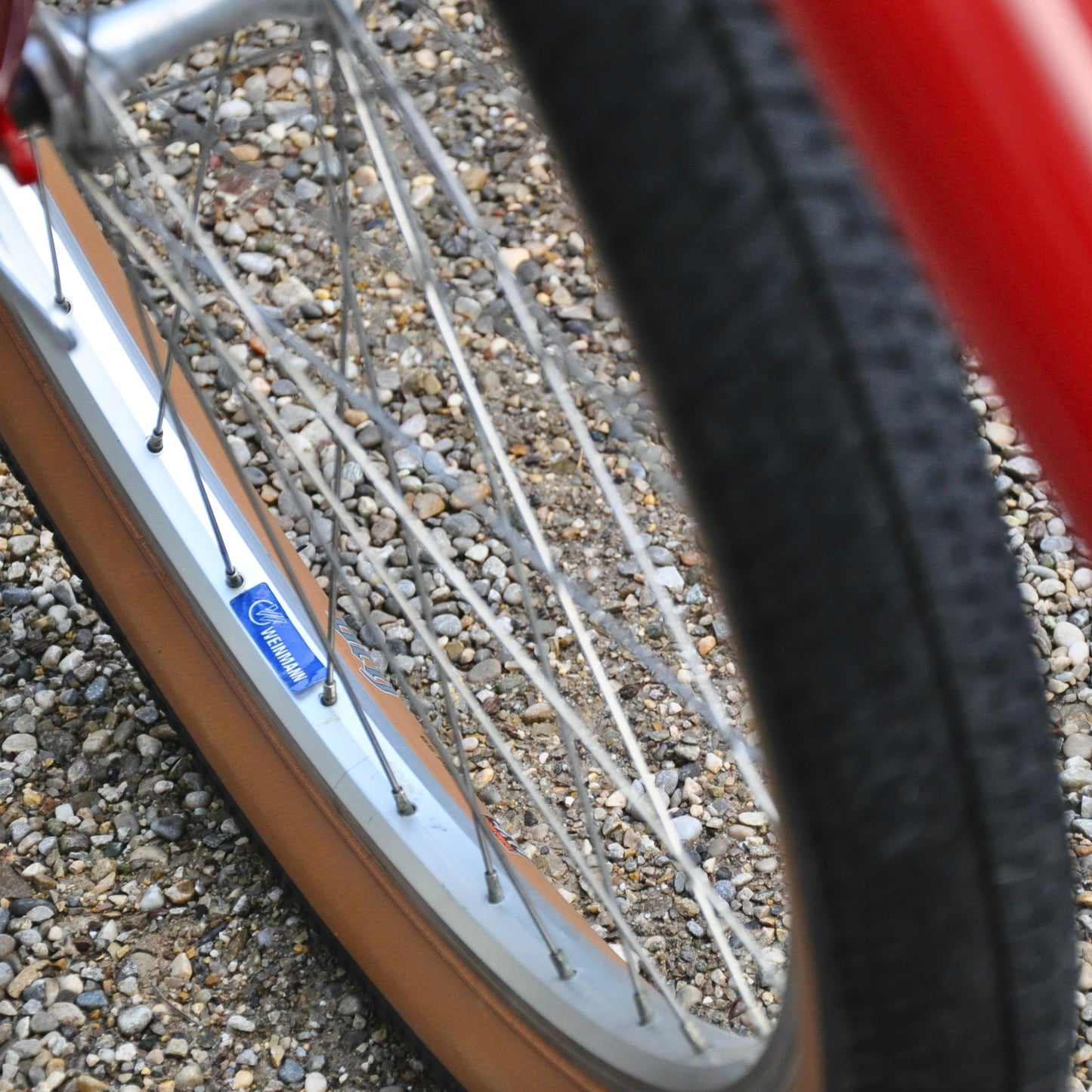 Pamela Cannondale