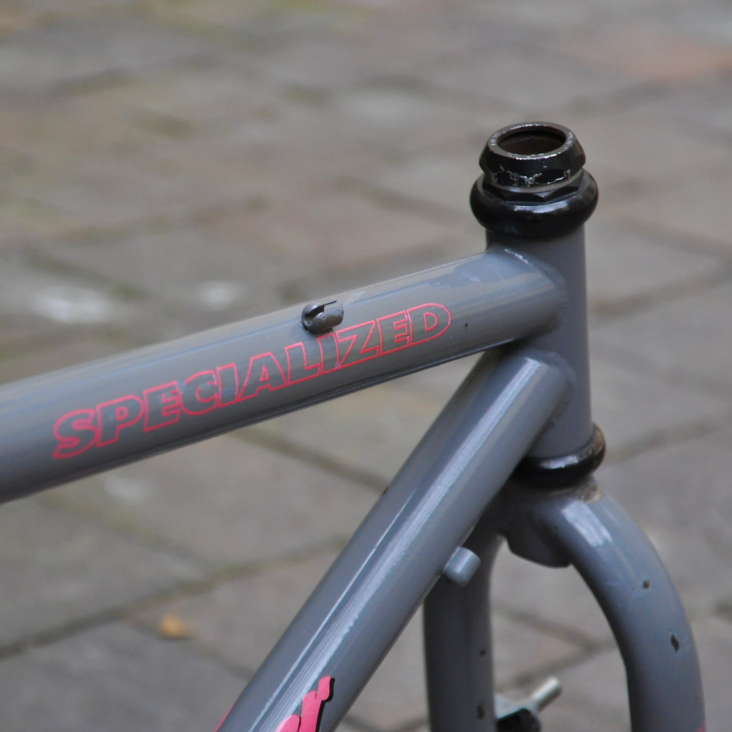 Specialized Rockhopper Comp | 1990  | 44 cm