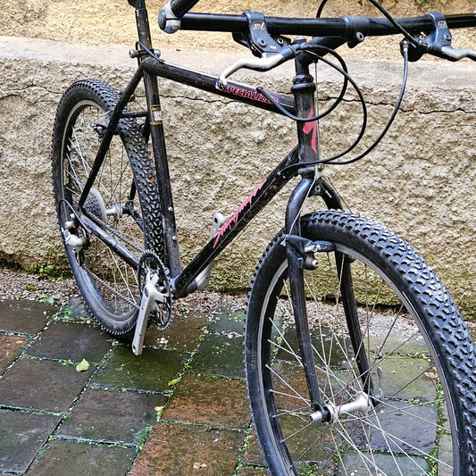 Specialized Stumpjumper | 1990  | 49,5 cm