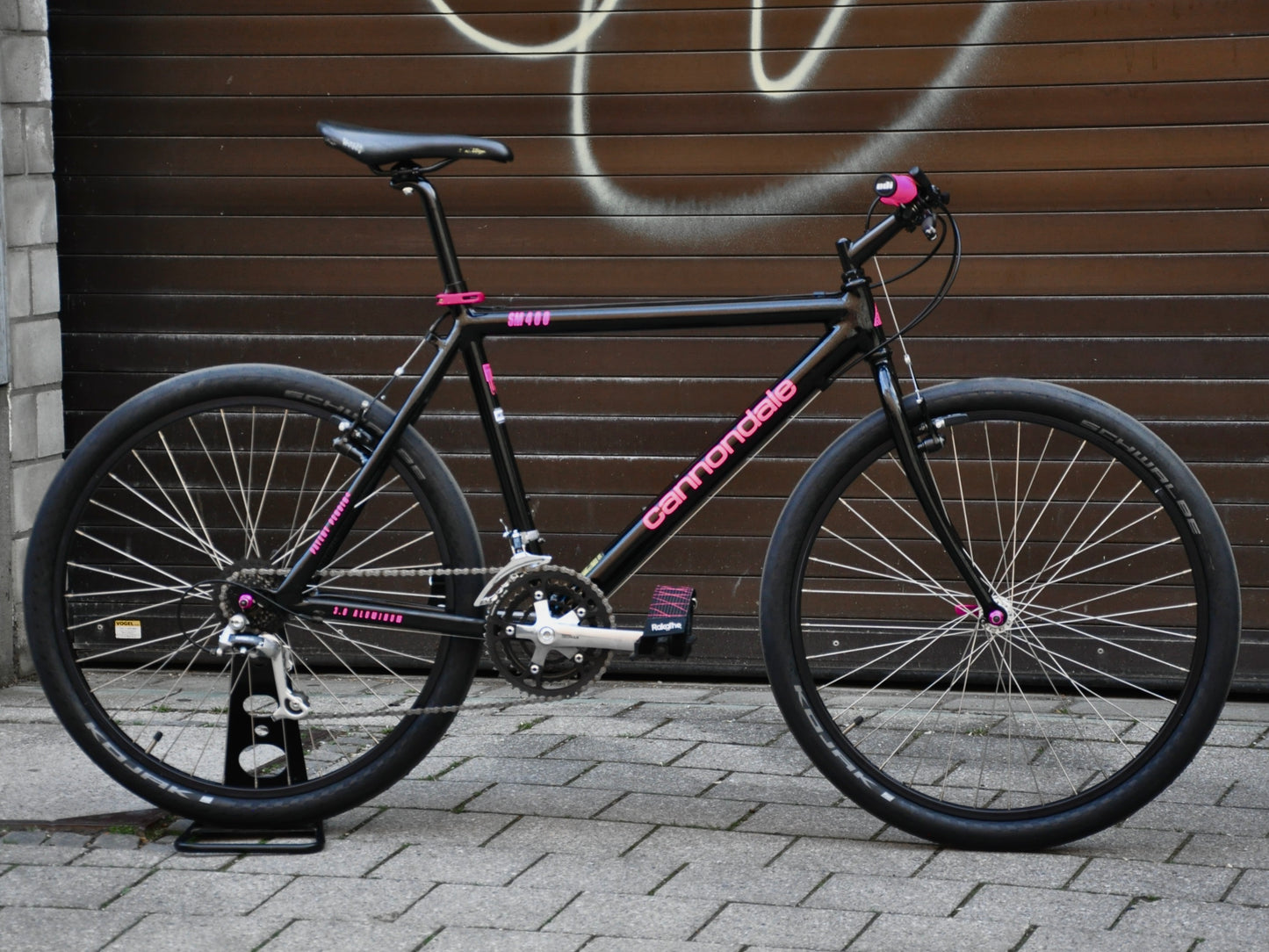 Barb Cannondale