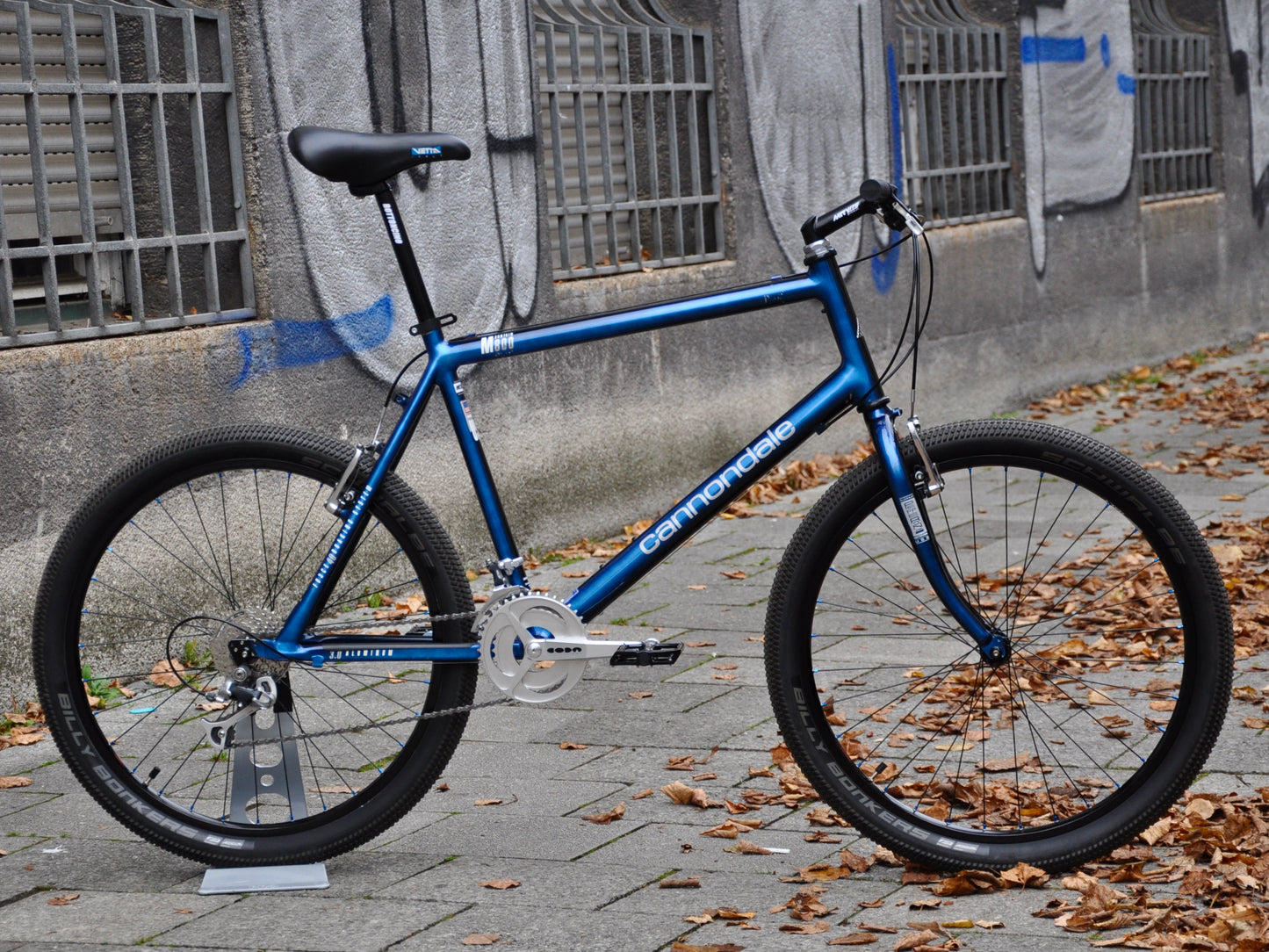 Beastie Cannondale