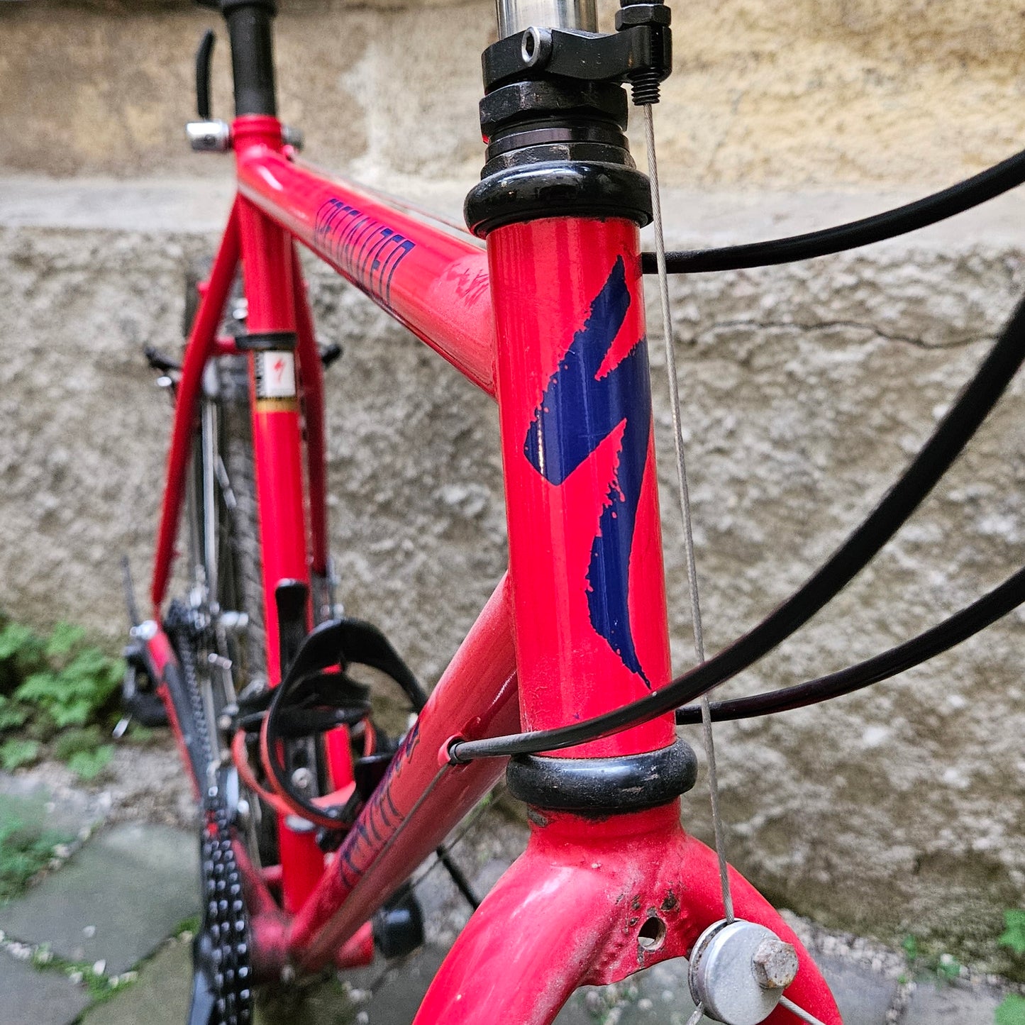 Specialized Rockhopper | 1992  | 49 cm