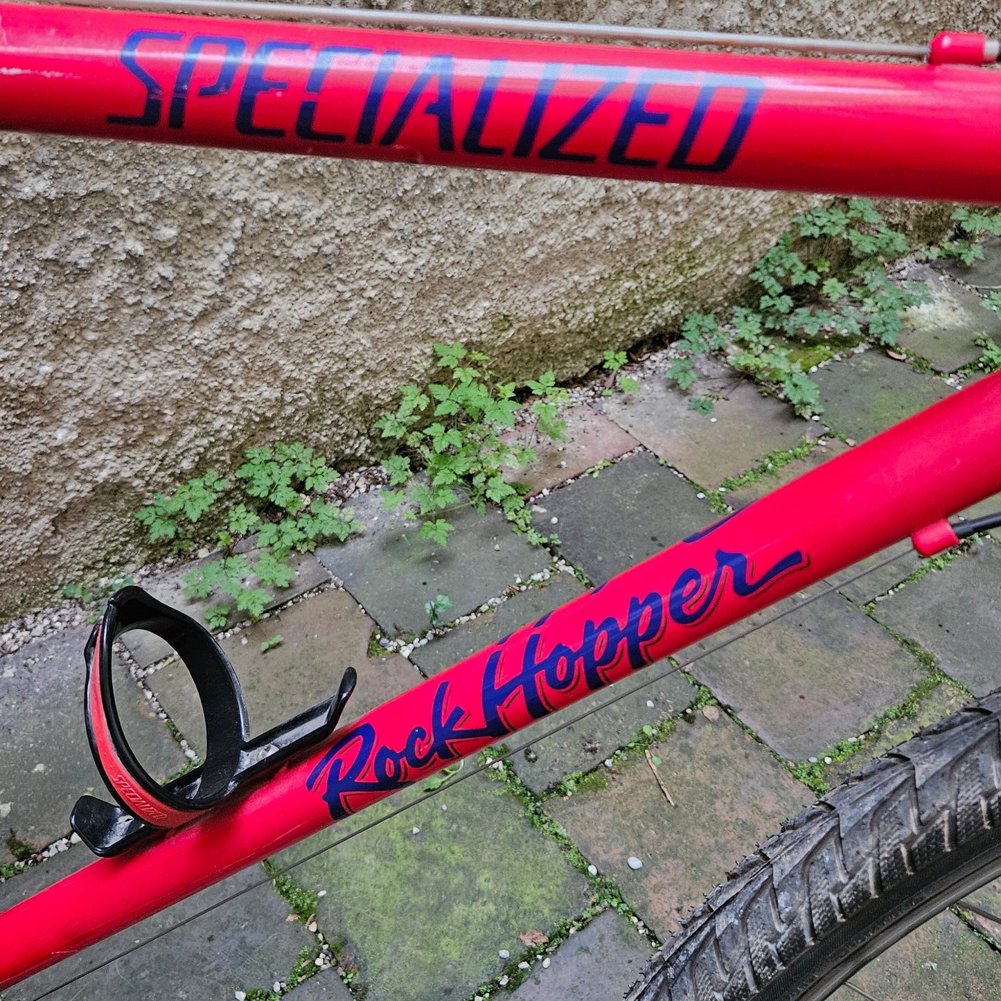 Specialized Rockhopper | 1992  | 49 cm
