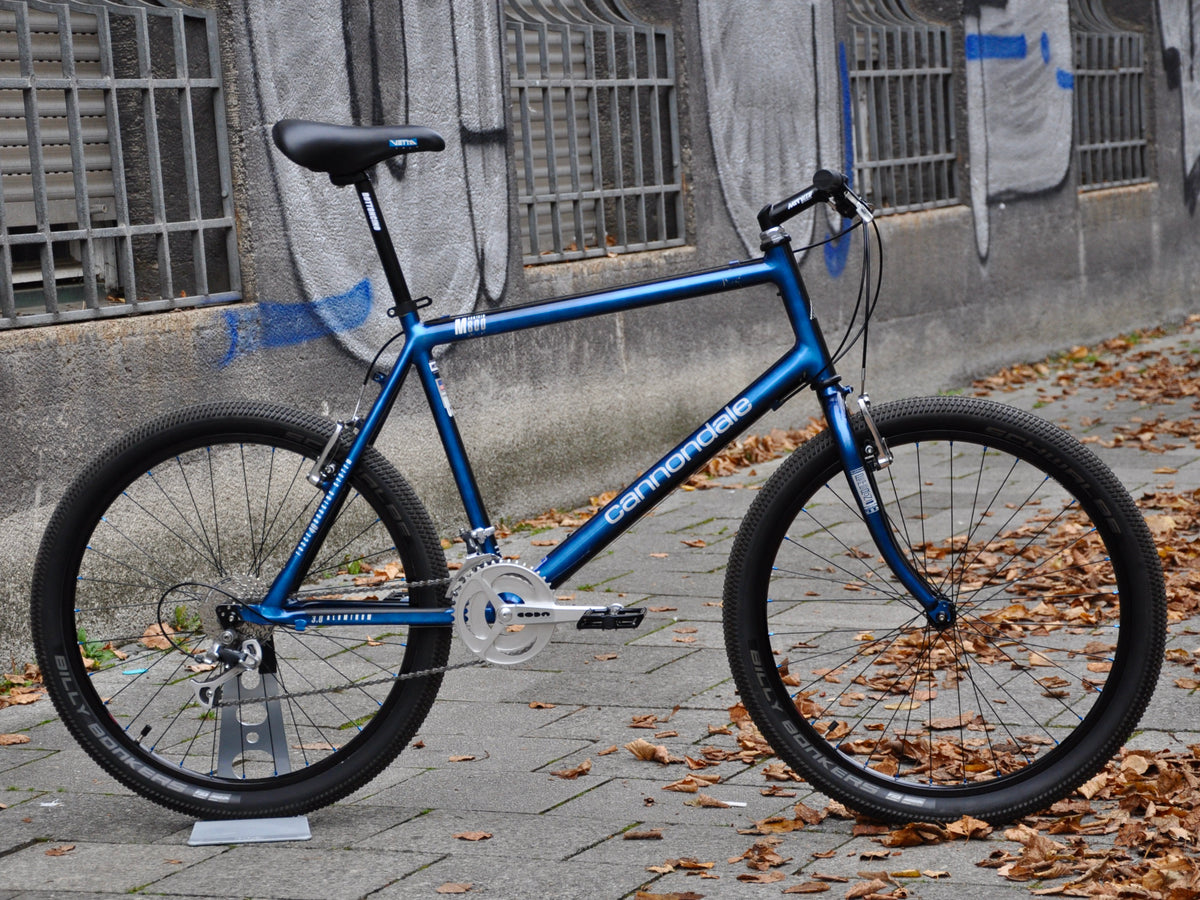 Beastie Cannondale