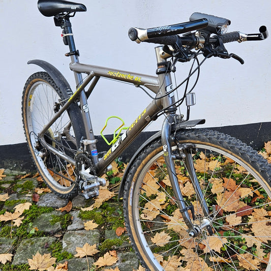 GT Avalanche AL | 1993  | 47,5 cm