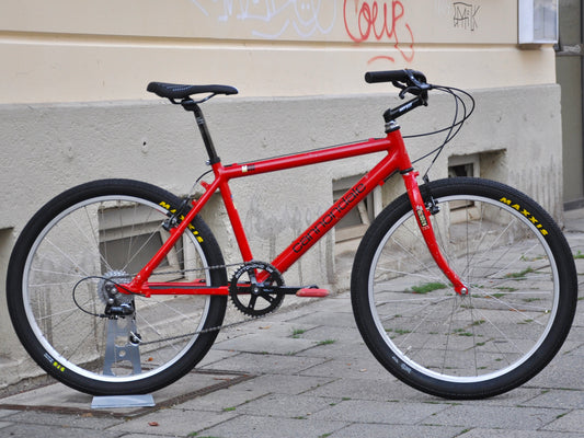 Callie Cannondale