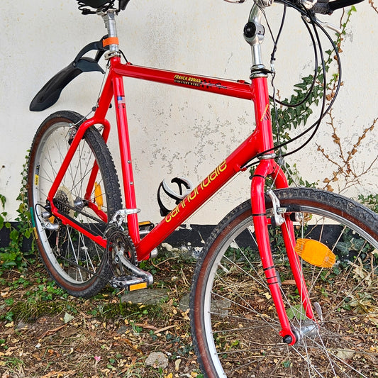 Cannondale M300 | 1995  | 57 cm