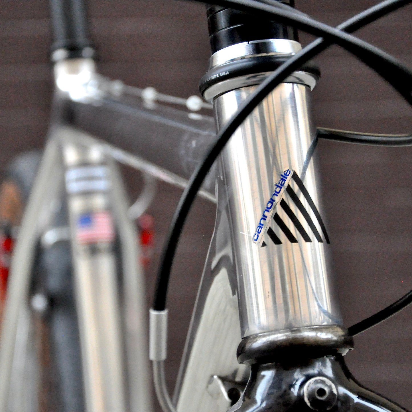 Sylvie Cannondale