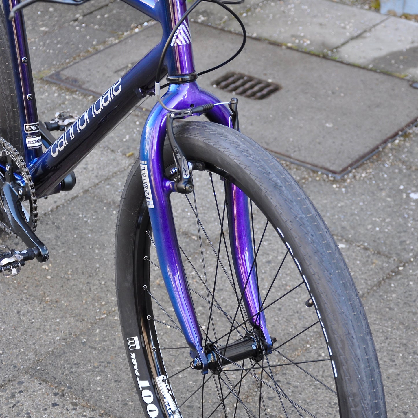 Coralie Cannondale