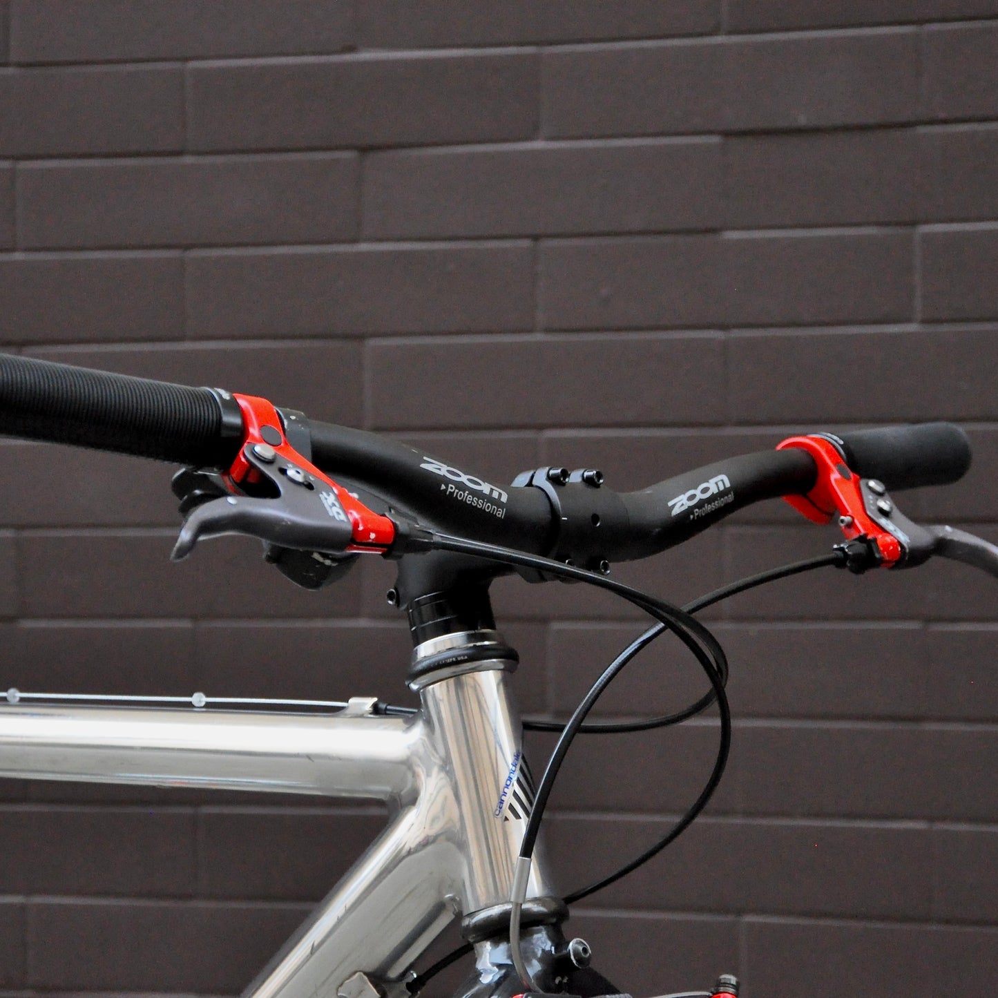 Sylvie Cannondale