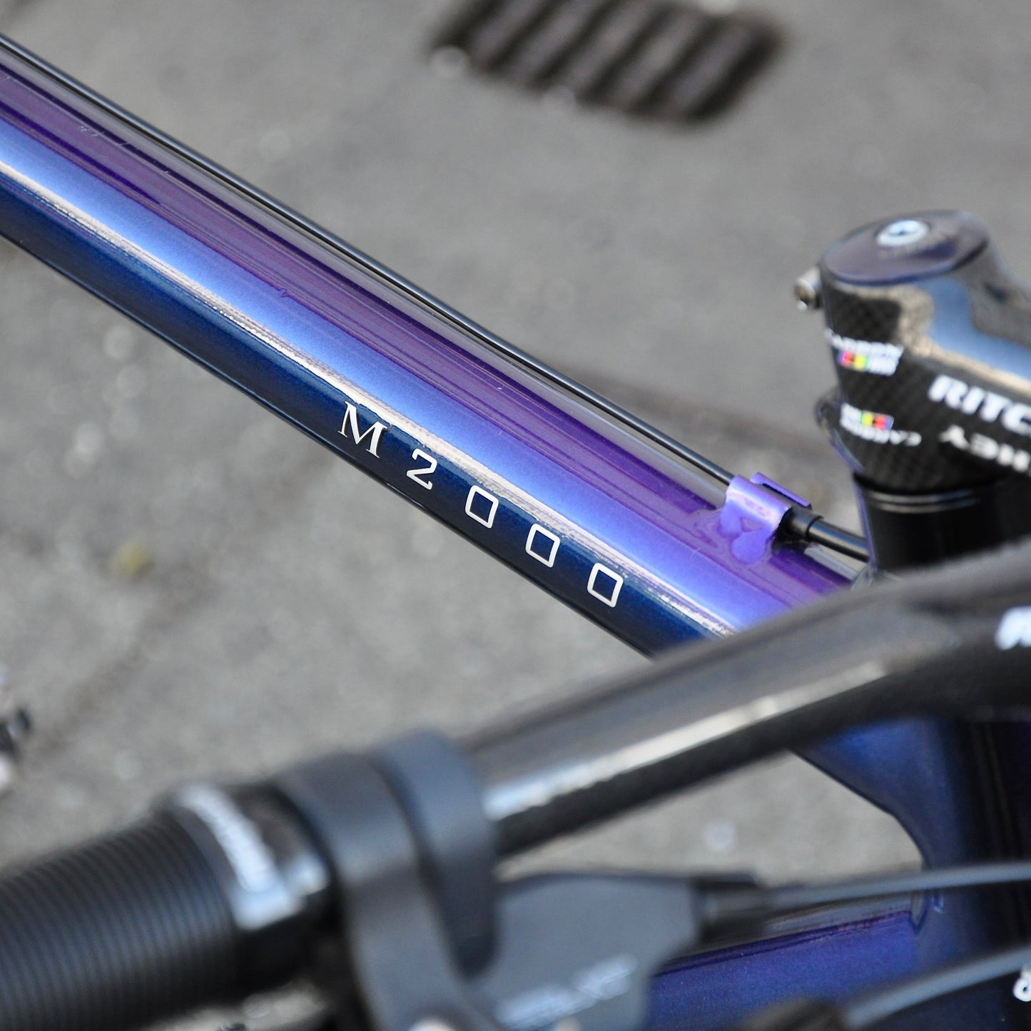 Coralie Cannondale