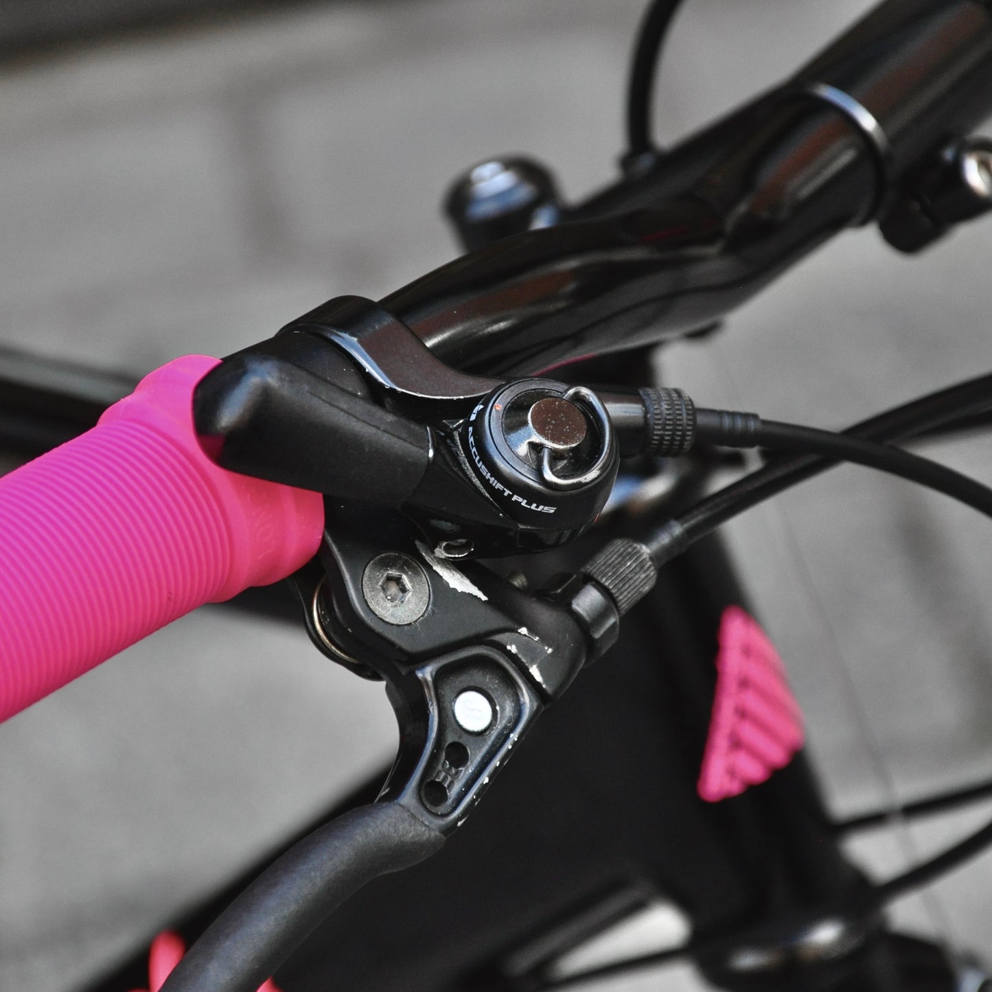 Barb Cannondale