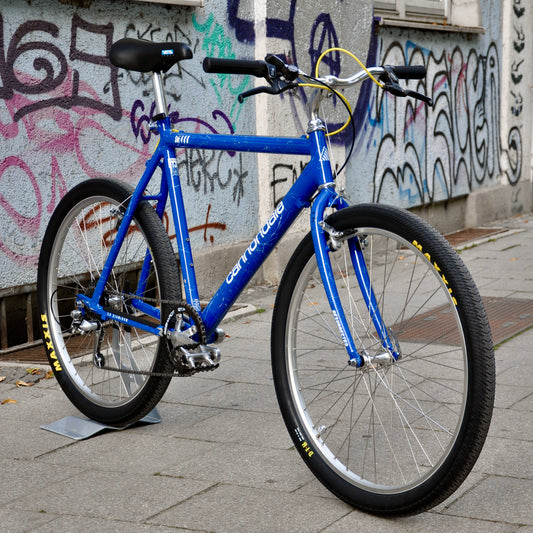 Skye Cannondale