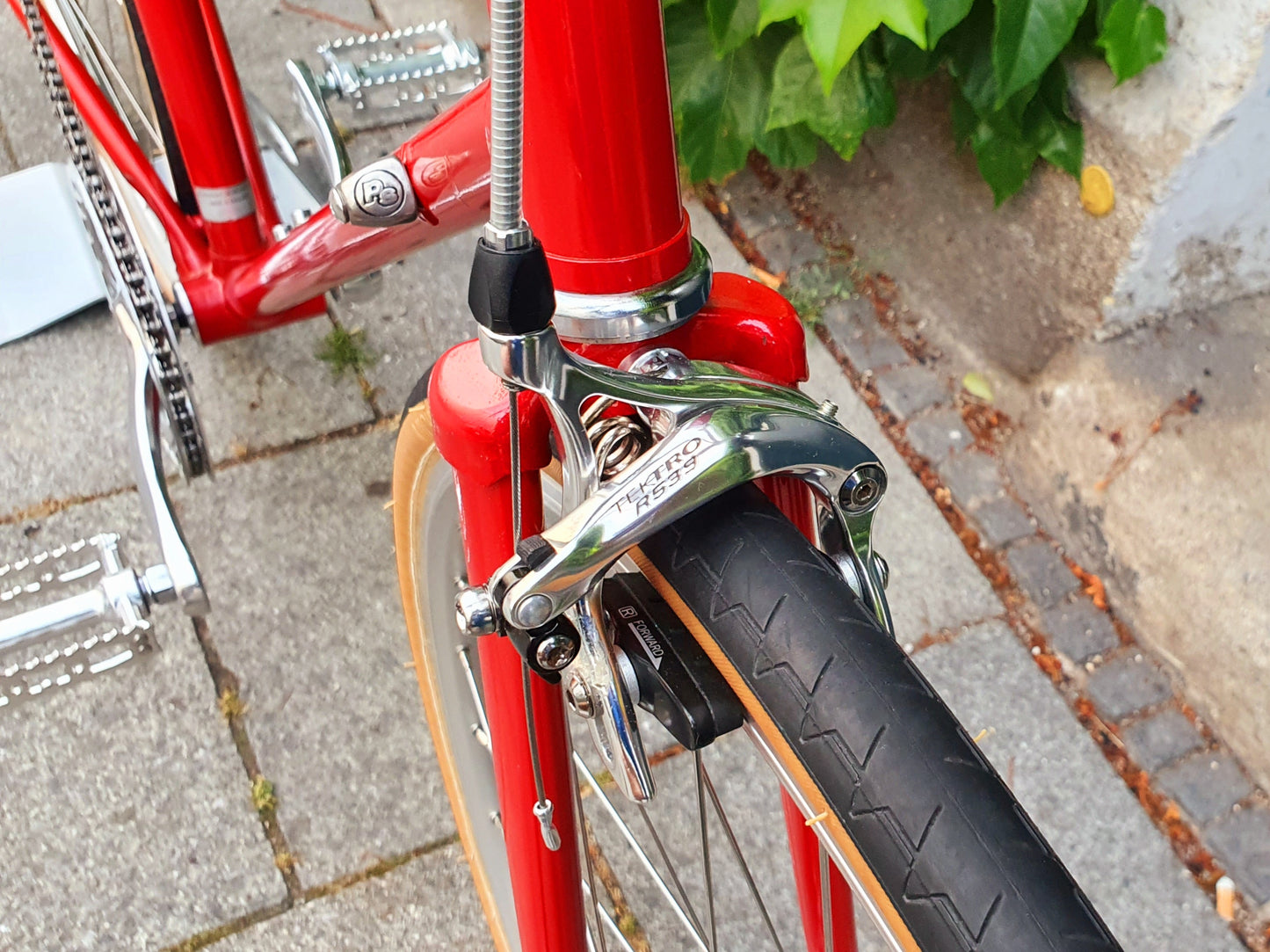 Ruby Raleigh