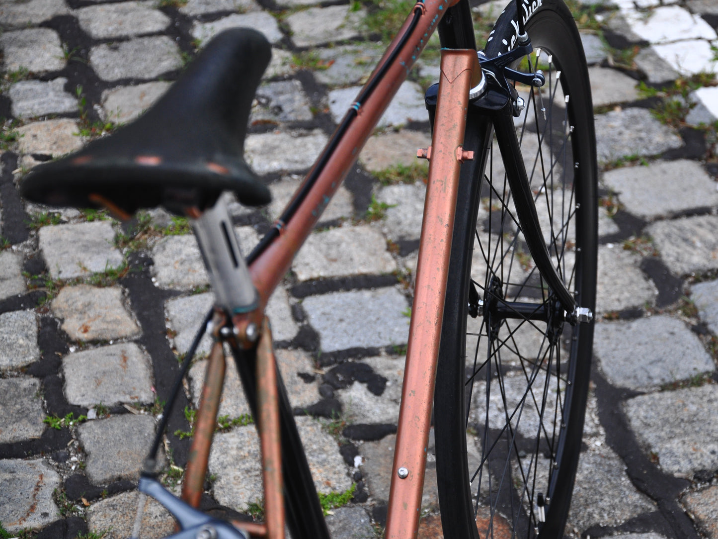 Bronzy Wheeler