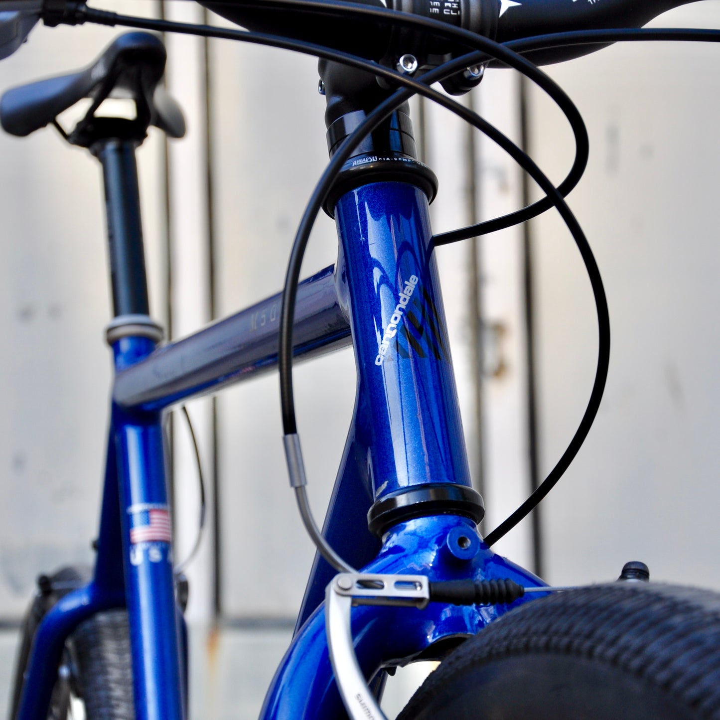 Corinna Cannondale