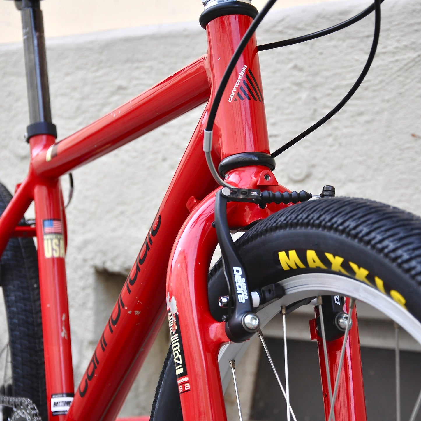 Callie Cannondale