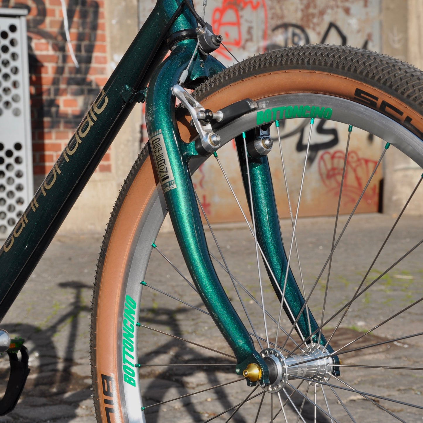 Cordula Cannondale