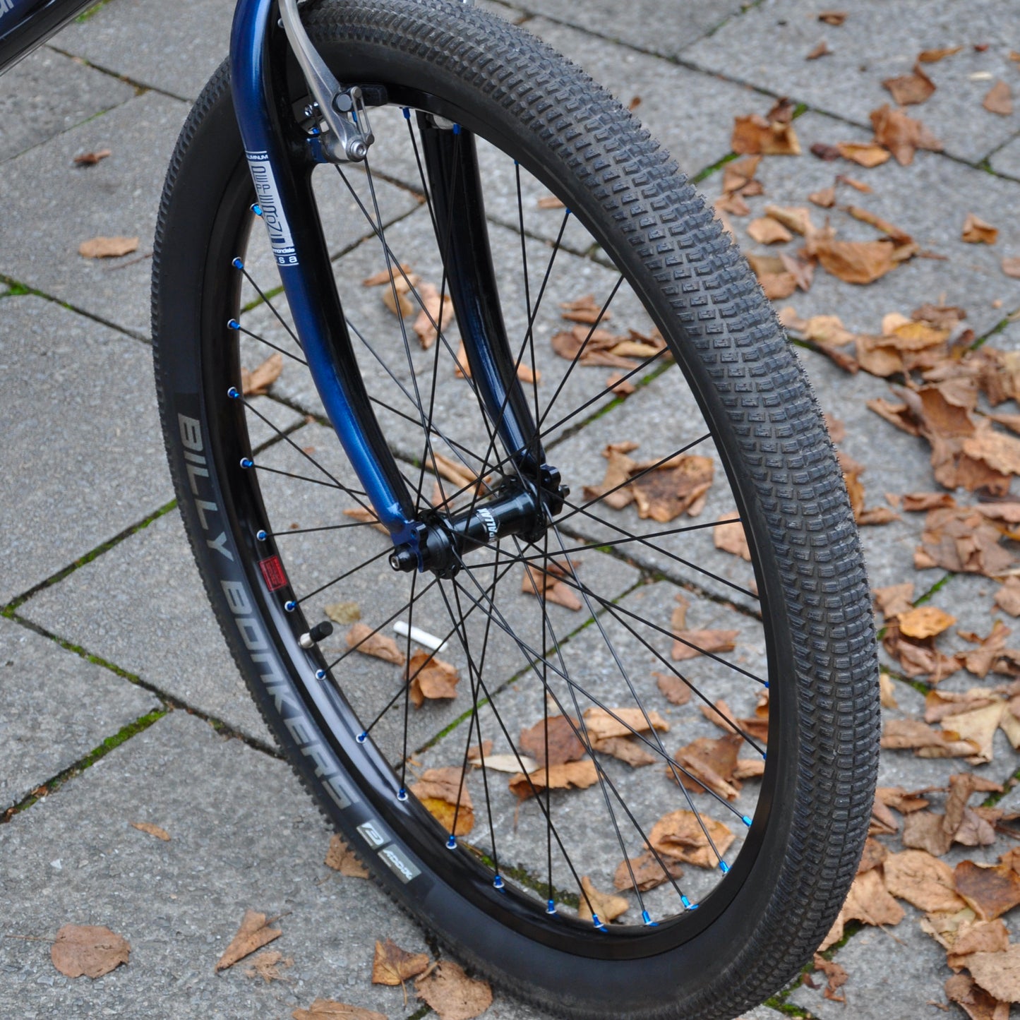 Schwalbe Billy Bonkers | Addix Performance | 26 x 2.25"