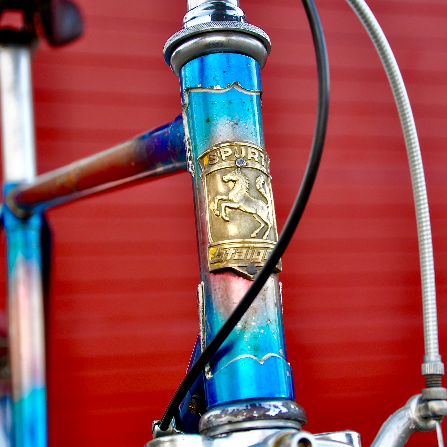 Skidster Staiger
