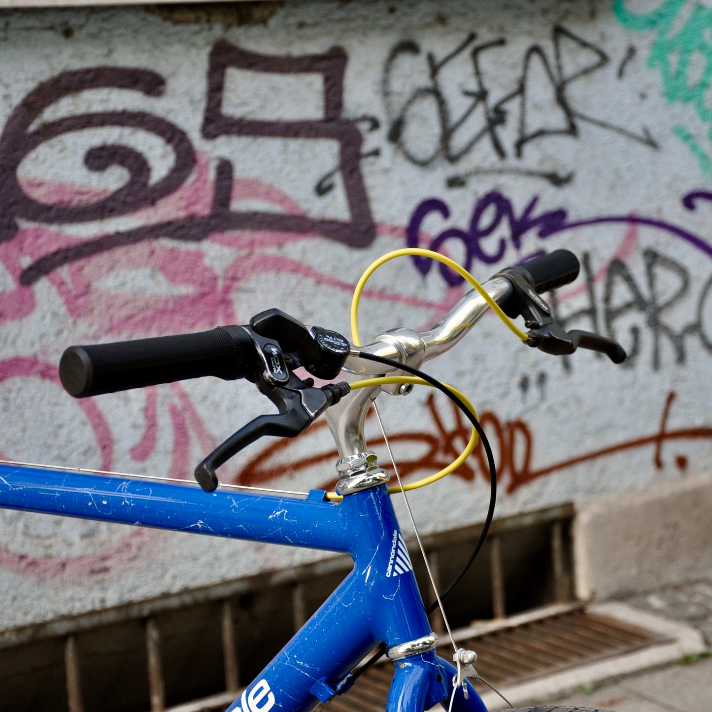 Skye Cannondale