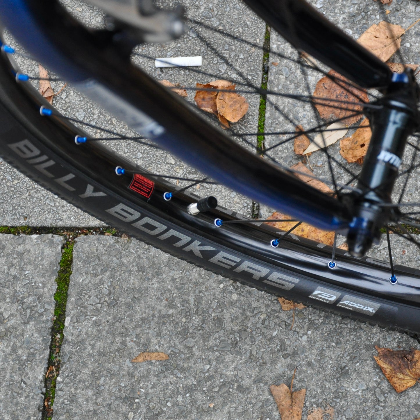Schwalbe Billy Bonkers | Addix Performance | 26 x 2.25"