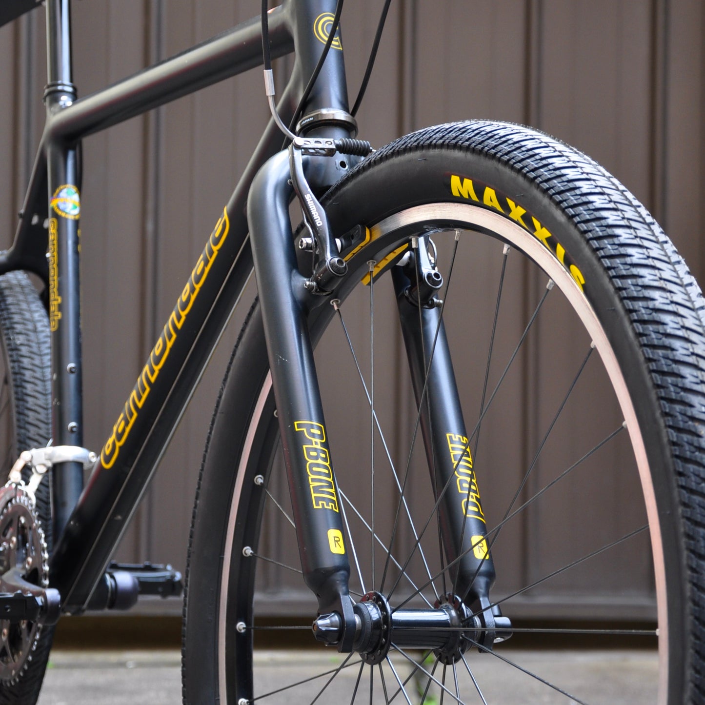 Hornet Cannondale