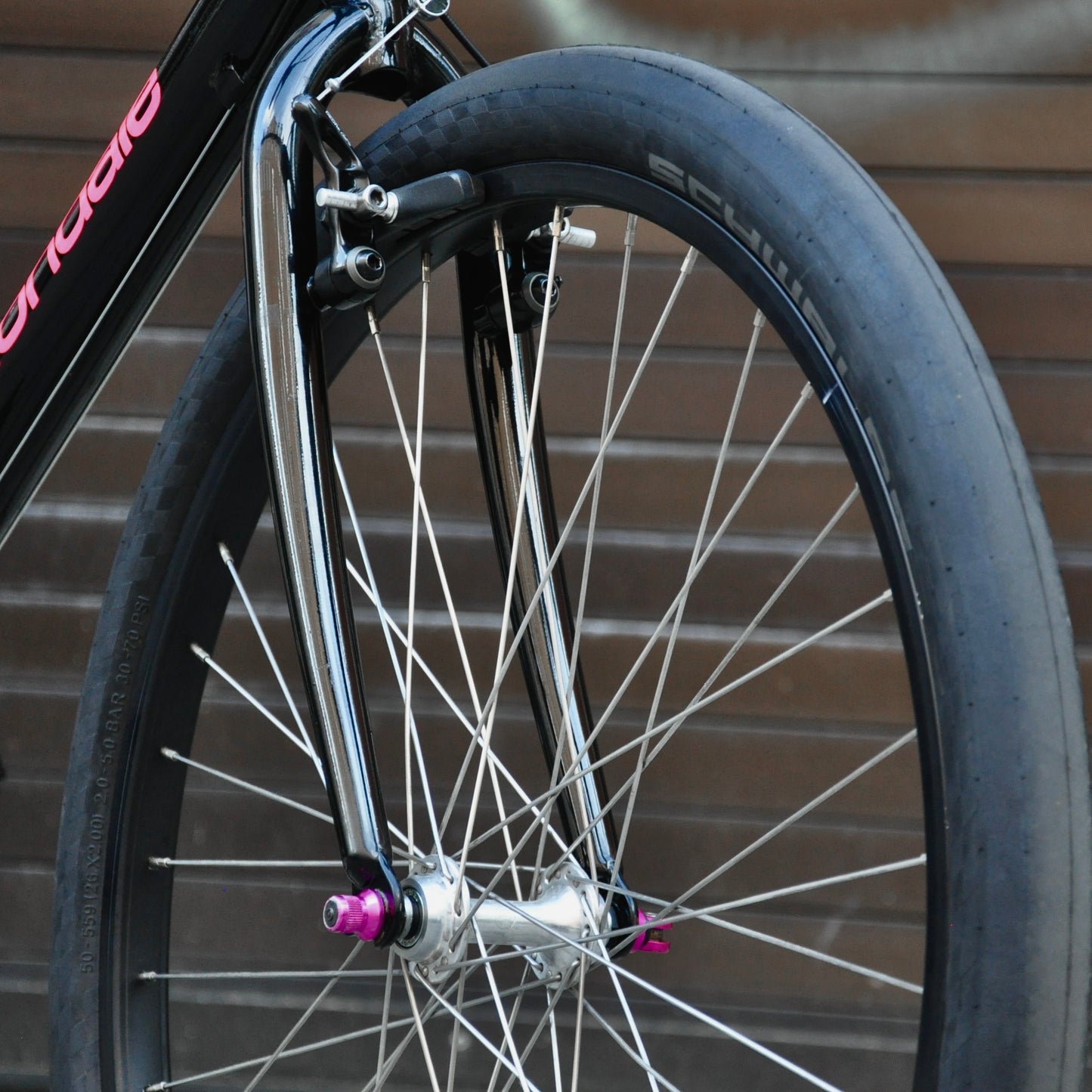 Schwalbe Kojak Reifen | Addix RaceGuard | 26 x 2.0"