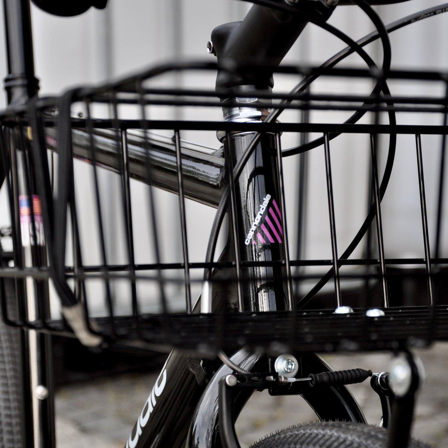 Cora Cannondale
