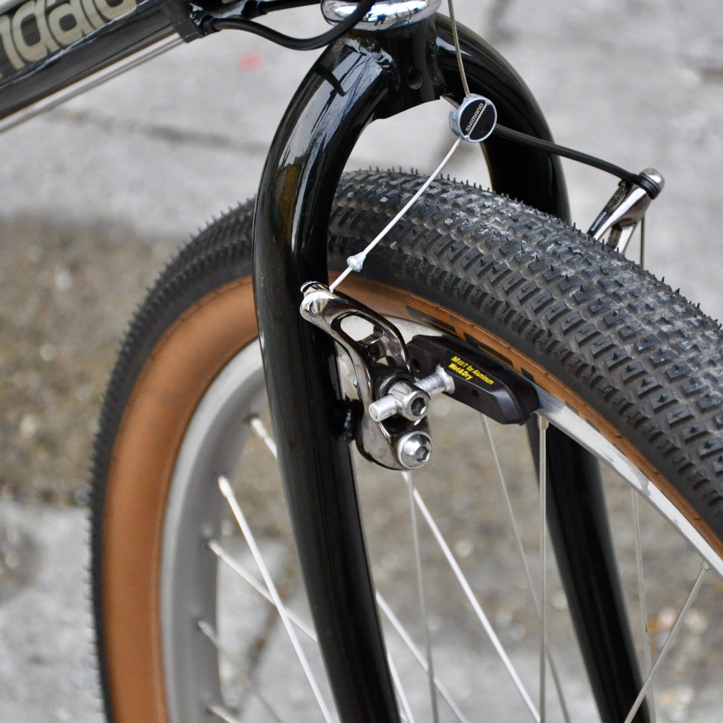 Goldie Cannondale