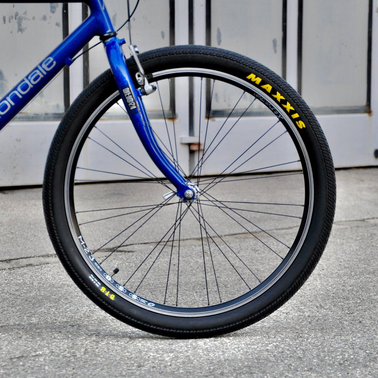 Corinna Cannondale