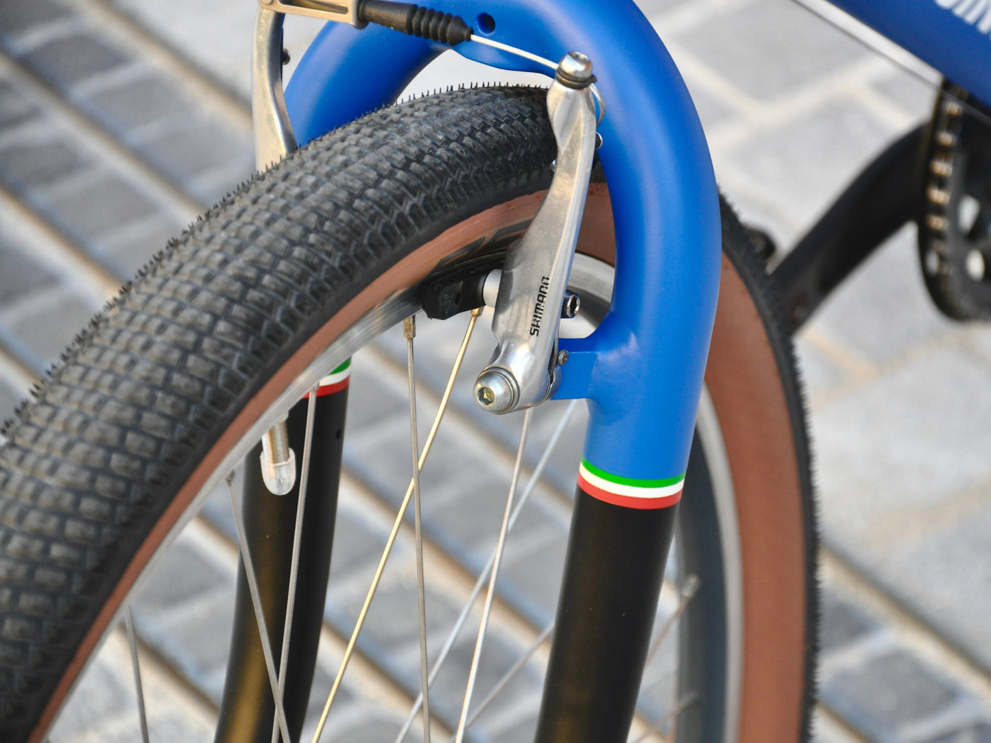 Azzurra Cannondale