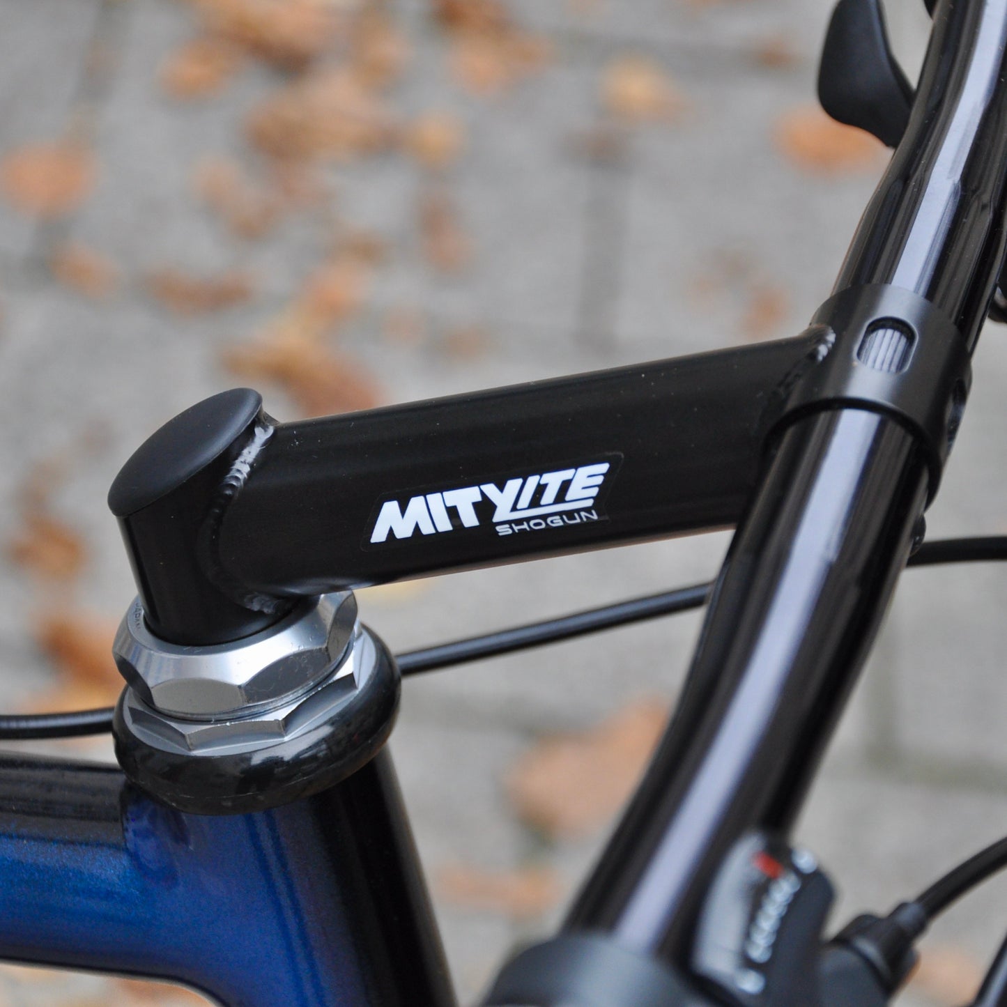 Beastie Cannondale